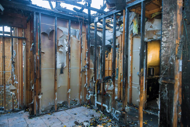 Professional Smoke Damage Removal technician working in Bristol, WI